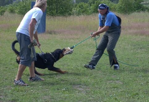 Training in Estonia 6/2007